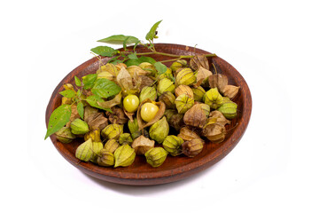 Flowers and fruits of Fisalis Physalis peruviana
