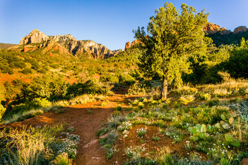 Hiking among red rock formations in Red Rock State Park along Oak Creek Canyon, Sedona, Arizona, USA