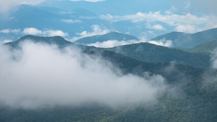 Foggy Morning in the Mountain Valleys