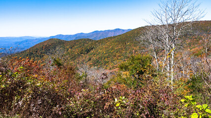 Autumn in the Appalachian Mountains Viewed Along the Blue Ridge Parkway