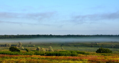 The morning fog rises over the summer meadow.