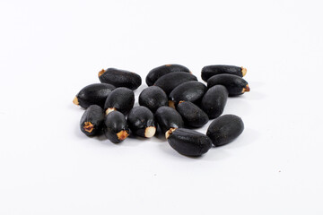 oil plant, Ricinus communis, medical plant