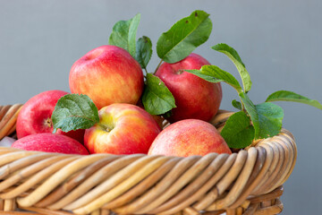 apples in basket