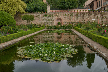 Fototapeta na wymiar Gardens of the Alhambra in Granada. Spain 