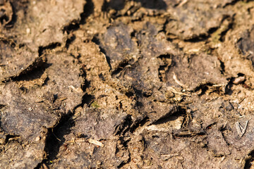Detailed close up view on dry agricultural grounds and acre in high resolution