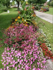 Obraz premium NatureBoy Blumen dieser Welt Zuhaus