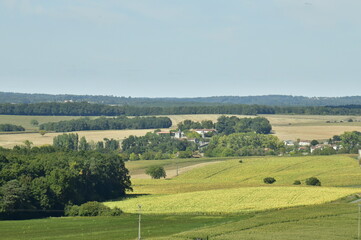 Champs et prairies à perte de vue entre les fermes ,bois isolés en été aux environs du Puy de Versac en Périgord Vert 