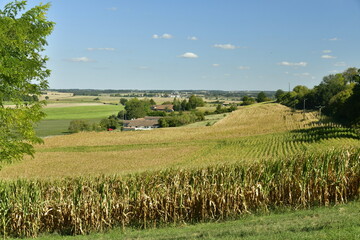 Obraz premium Champs et prairies à perte de vue entre les fermes ,bois isolés en été aux environs du Puy de Versac en Périgord Vert 