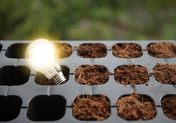 lightbulb with small tree on soil in nature and sunshine. environmentally friendly and sustainable energy options. Renewable, sustainable energy sources concept.