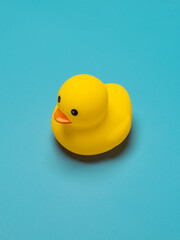 nice toy yellow duck isolated on blue background
