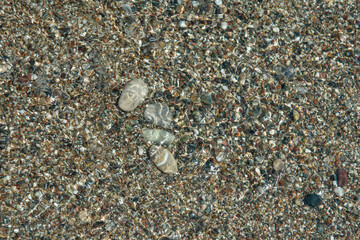 Multicolored pebbles under the water of the Mediterranean Sea. Pebble background. Coast. Abstract background with round pebble stones