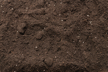 Black land for plant background. Top view.