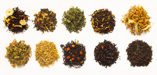 Large assortment of fresh fermented tea made from flowers, herbs, leaves and berries on white paper background.