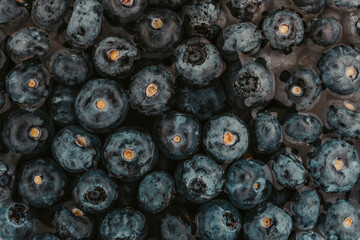 blueberries close up