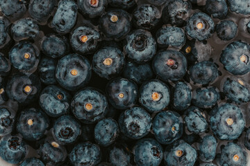 blueberries close up