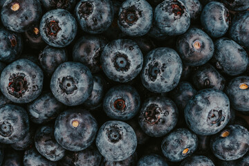 blueberries close up