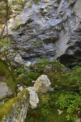 Arch on the steep wall of the karst hole Wolf pit