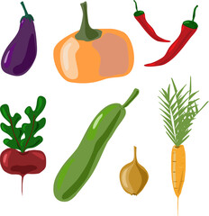 A set of vegetables - beetroot, eggplant, zucchini, onion, pumpkin, carrot, pepper with a copy of the space.