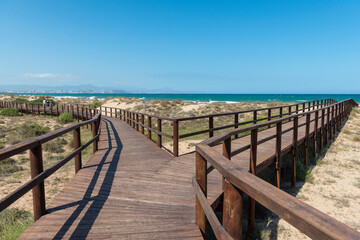 Fototapeta na wymiar playa virgen pasarela de madera