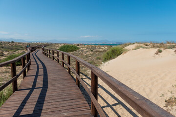 Fototapeta na wymiar playa virgen pasarela de madera