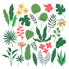 Vector set of tropical jungle leaves and flowers in flat style isolated on white background.