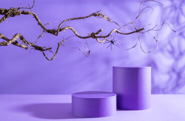 Halloween holiday concept.Podiums or pedestals for products display  and leafless tree branches over purple background.