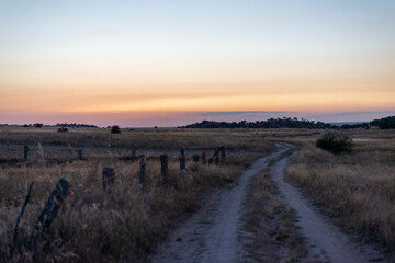 HORA DORADA FOTOGRAFÍA PAISAJE RURAL 