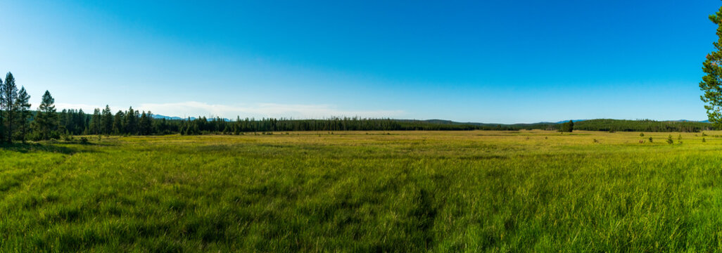 Panoramic Meadow in Yellowstone National Park