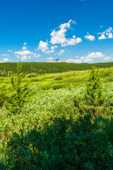 Fototapeta na wymiar Yellowstone National Park Open Space
