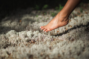 Female foot at forest reindeer moss. Harmony with nature concept