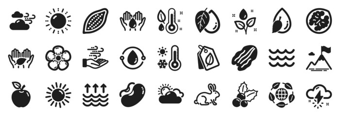 Set of Nature icons, such as Cold-pressed oil, Christmas holly, Walnut icons. Cocoa nut, Natural linen, Water drop signs. Apple, Safe water, Evaporation. Windy weather, Beans, Thermometer. Vector