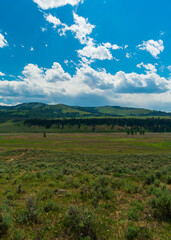 Obraz premium Lamar Valley, Yellowstone National Park