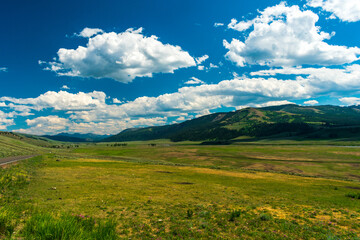 Fototapeta premium Lamar Valley, Yellowstone National Park