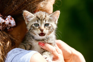 femme portant sur son épaule un chaton tigré  