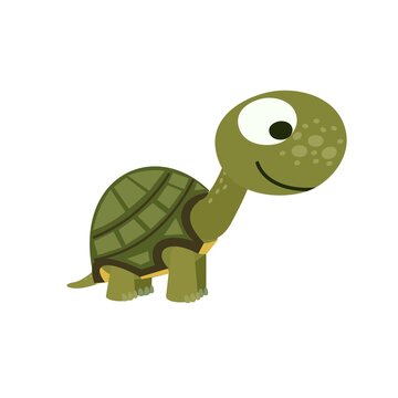 Little baby turtle. Isolated object on a white background. Cheerful kind animal child. Cartoons flat style. Funny. Vector