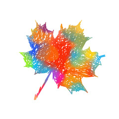 Multi-colored maple leaf. vector illustration
