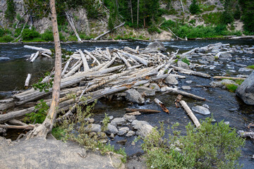 Logjam on the Lewis River, weathered logs caught up on rocks, Yellowstone National Park, USA
