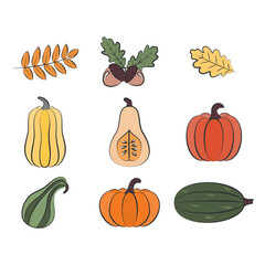 Collection of elegance harvest pumpkins and autumn leaves. Hand drawn sketch of garden vegetable. Collection of autumn design elements for seasonal design concept. Isolated vector illustration
