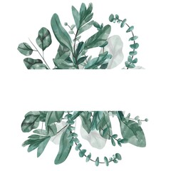 Hand-painted watercolor green floral banner with silver dollar eucalyptus is insulated on a white background. Healing herbs