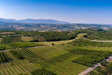 Fototapeta na wymiar Aerial view over agricultural fields with cherry trees