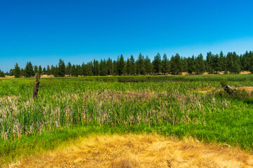 Obraz premium Turnbull National Wildlife Refuge, Cheney, WA