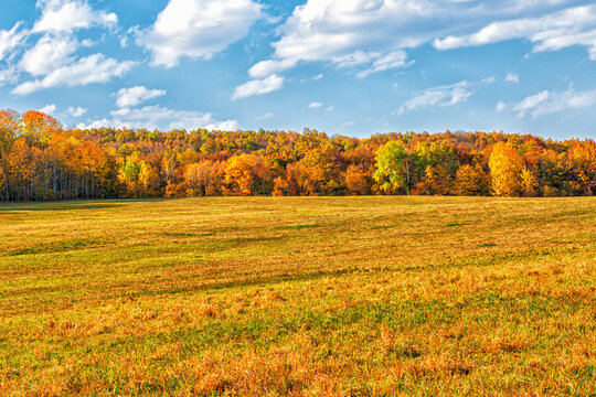 A large field surrounded by a forest area in autumn sometimes
