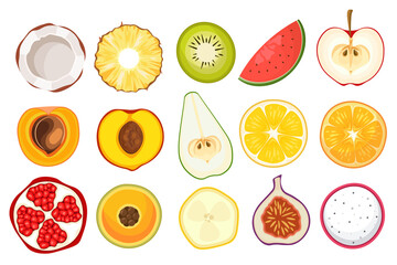 Set of Fruit Slices Coconut, Pineapple, Kiwi and Watermelon, Apple with Peach and Apricot. Pear, Orange and Lemon