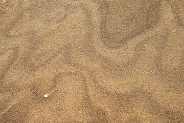 Yellow sand texture with random lines. Nature background for design