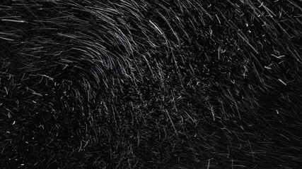 Severe snowstorm with strong wind, blowing snow and low visibility. isolated on the black background.