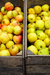 Fresh red and yellow apples at a farmers market
