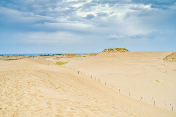 Dunes of Leba in the desert of Slowinski National Park, Poland