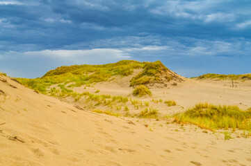 Dunes of Leba in the desert of Slowinski National Park, Poland - obrazy, fototapety, plakaty