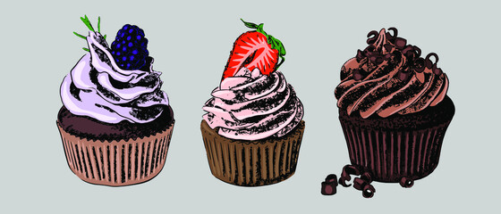 Cupcakes hand-drawn in color on a gray background. Vector