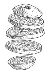 Flying pieces of fresh orange. Vintage engraving black monochrome